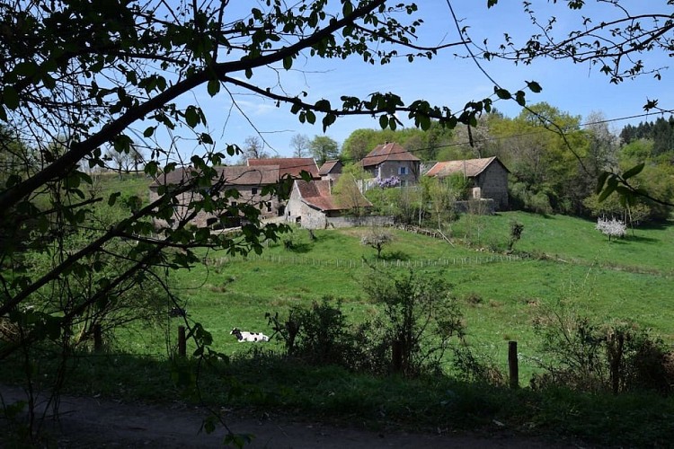 La Vernée