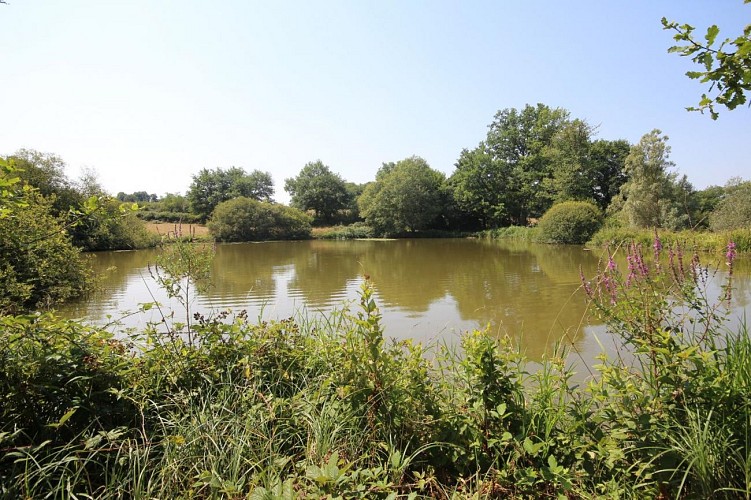 La Roulotte de Serre