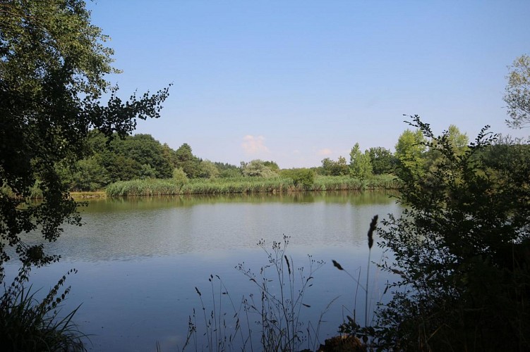 La Roulotte de Serre