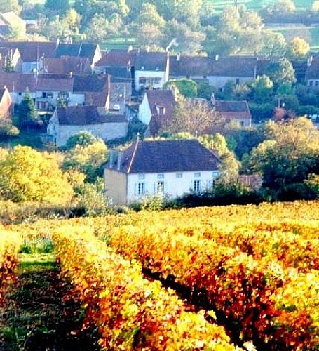 Les Roches détail sur: https://64045b4a11db6.site123.me/