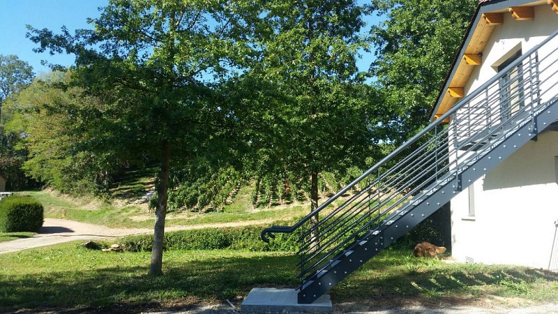 7649920362895132226-2