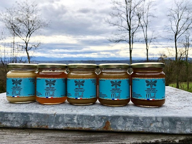 Mellifert - pots de miel