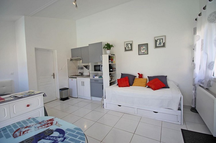 Les Carpes à Limoges