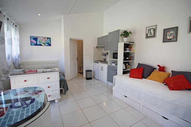 Les Carpes à Limoges