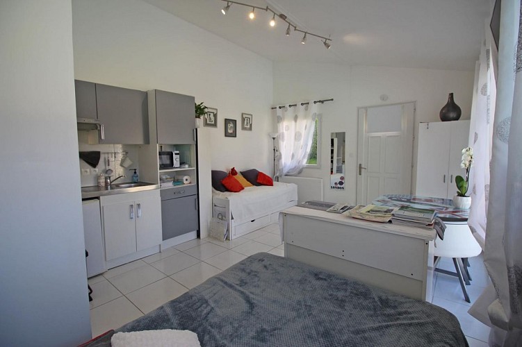 Les Carpes à Limoges