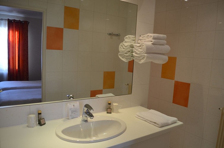 Hôtel de Bourgogne - Salle de bains chambre avec douche