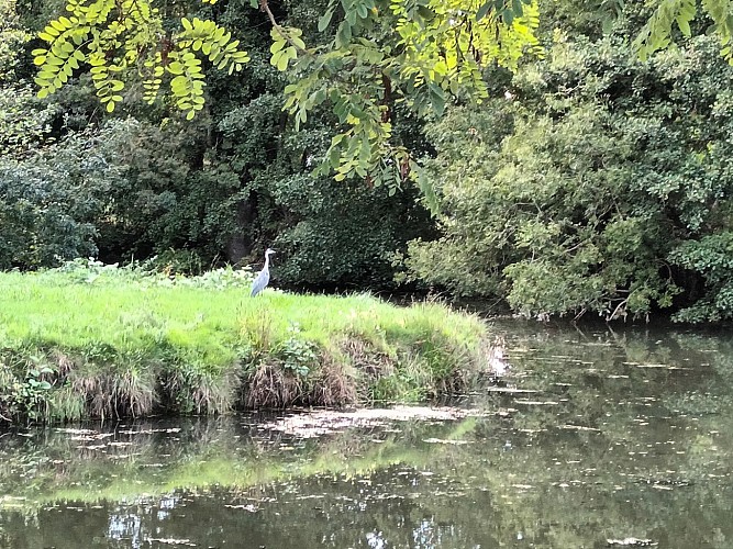 Plan d'eau au bord du camping