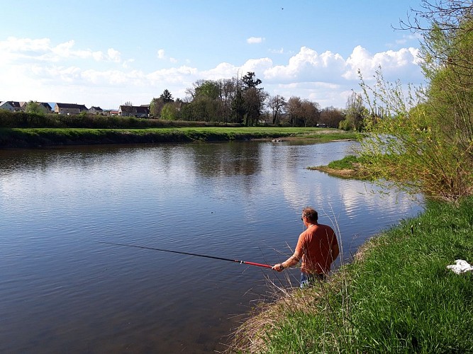 Pêche dans l'Arroux