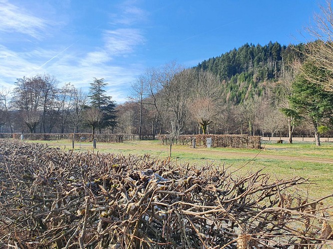 camping du ternin, lucenay-lévêque