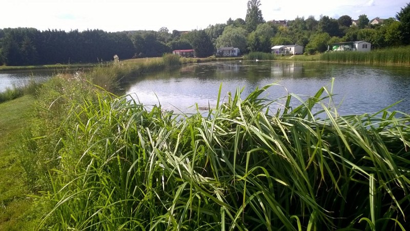 Camping Moulin de Collonge