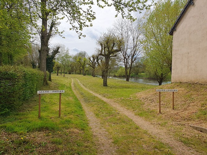 Balade au bord de l'Arroux