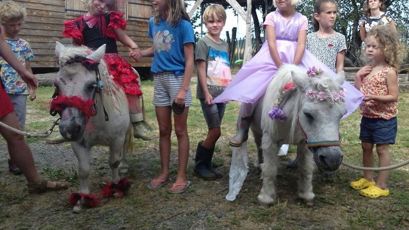 notre ponies