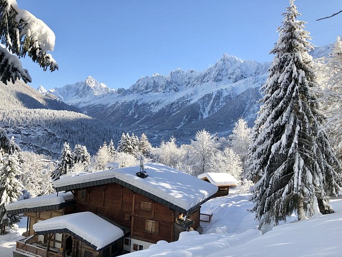 Chalet Mountain Vibes