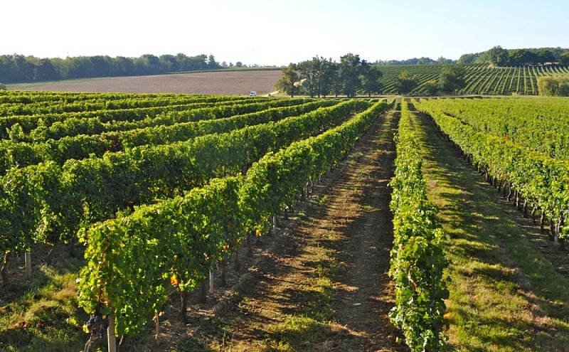 chateau de lisennes 6