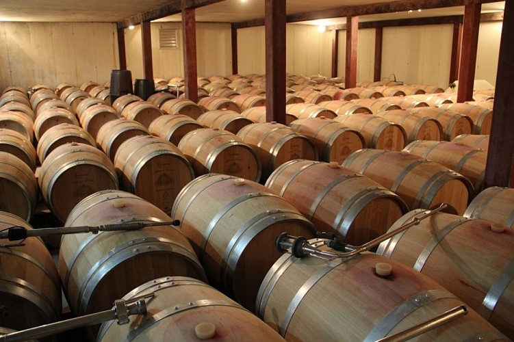 chateau-de-lisennes-5