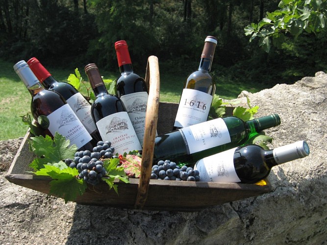 Bouteilles dans panier