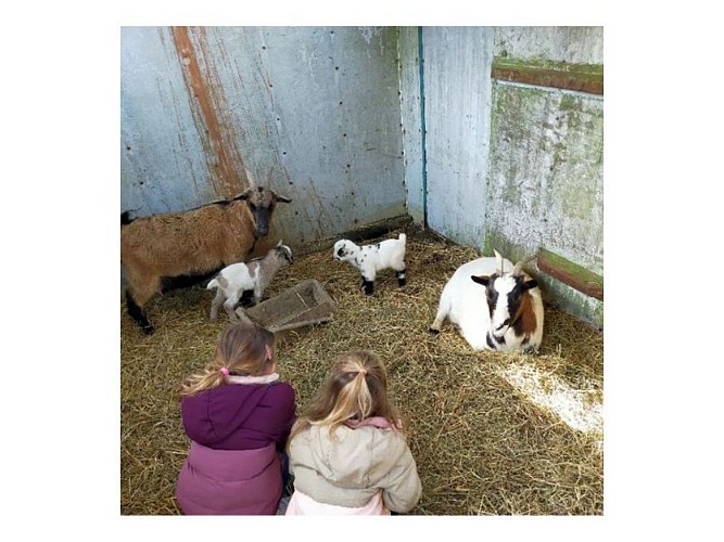 Design sans titre - 1