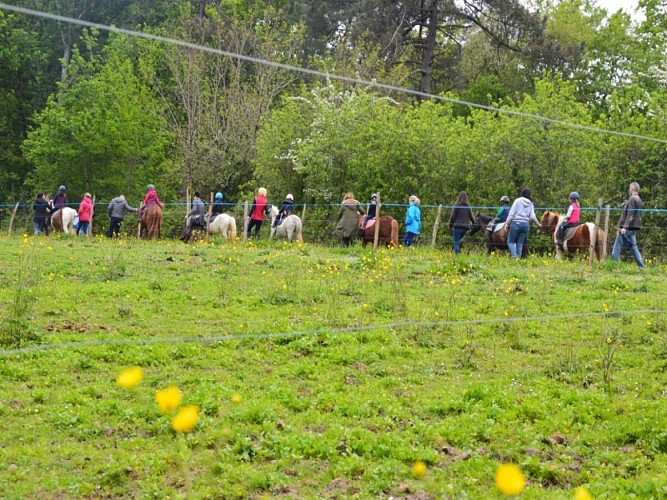 Balade à cheval