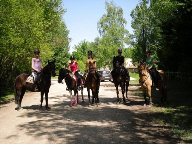 equilogos