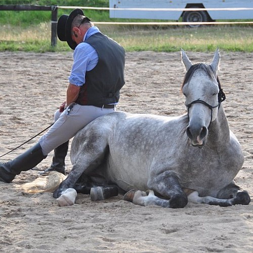 equilogos2