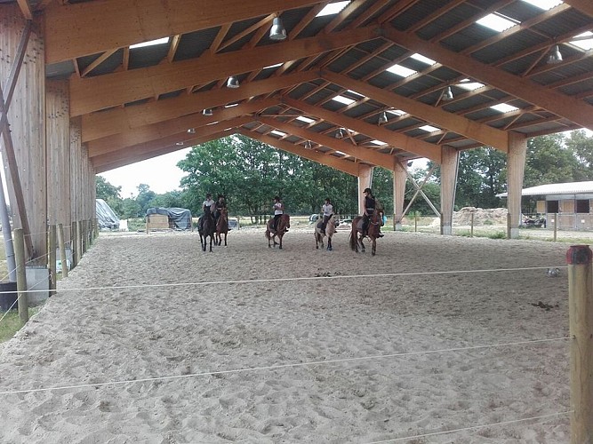 pole equestre bordeaux st sulpice