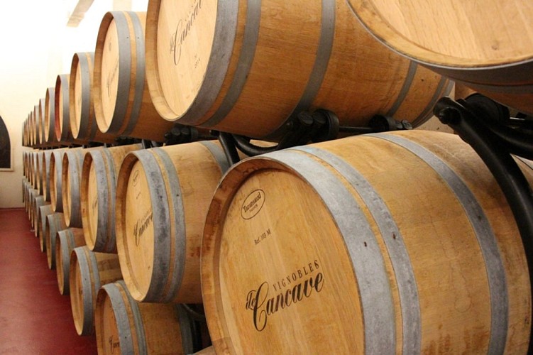 chateau-marquis-de-vauban-vignoble-blaye-cotes-de-bordeaux-80x600-barrique--blaye-tourisme