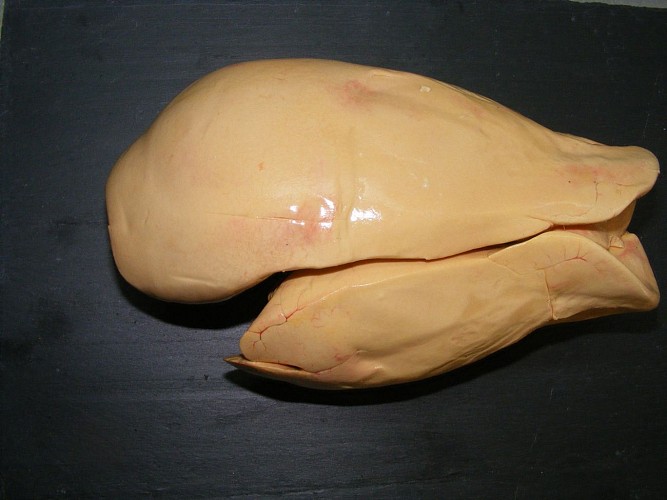 Ferme Sahouret 1440x900