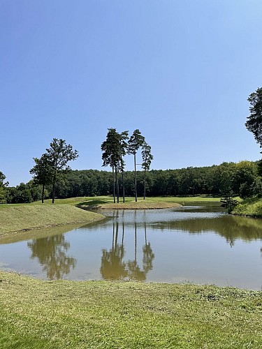 Golf Vichy forêt de Montpensier