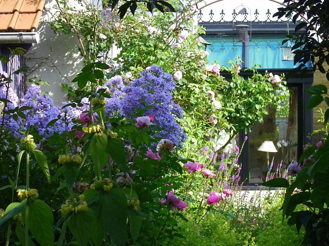 La colline des roses