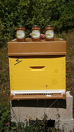 Chatenoy-le-Royal---Les-Abeilles-du-Lolo---2019--4-