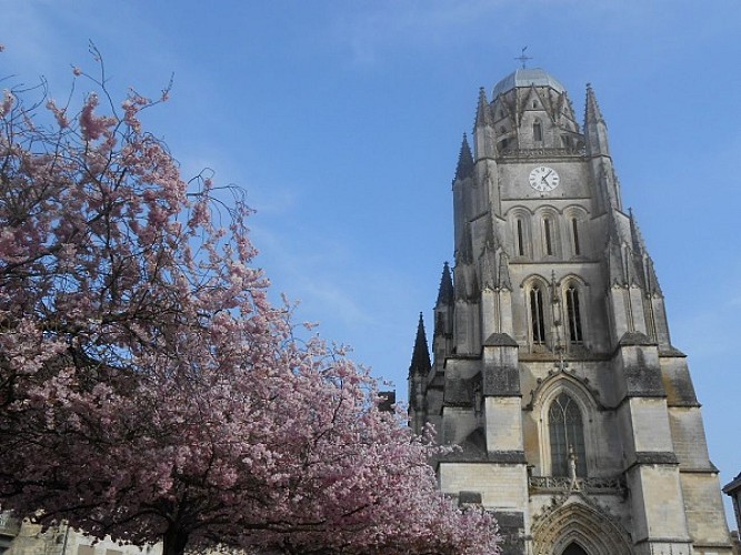 Cathédrale Saint-Pierre (XVe)