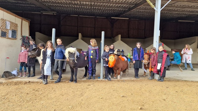 Centre équestre Les écuries de Caux Les écuries de Caux (5)