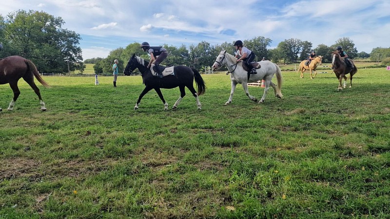 Centre équestre Les écuries de Caux Les écuries de Caux (2)
