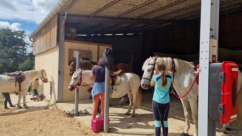 Centre équestre Les écuries de Caux Les écuries de Caux (1)