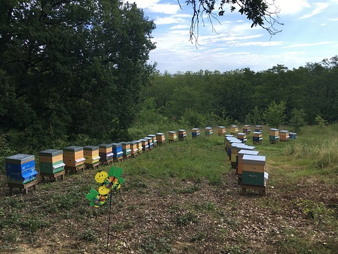 Exploitation agricole DELEPLANQUE -