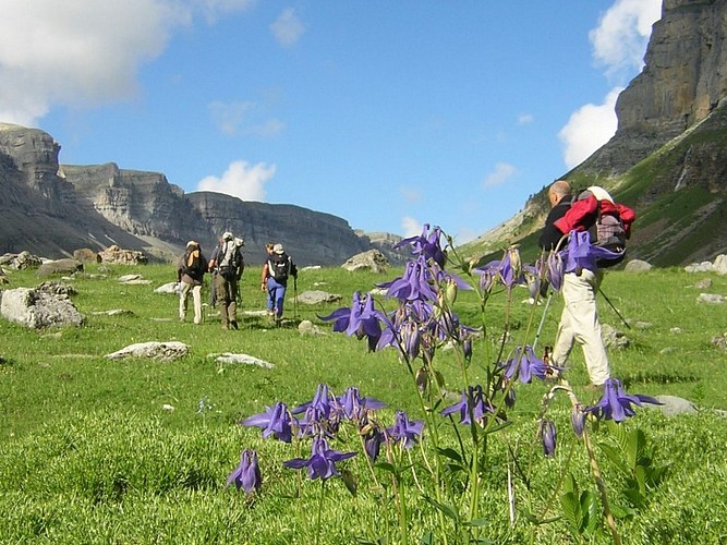 Agence Bivouac - Ousse - Randonnées fleurs