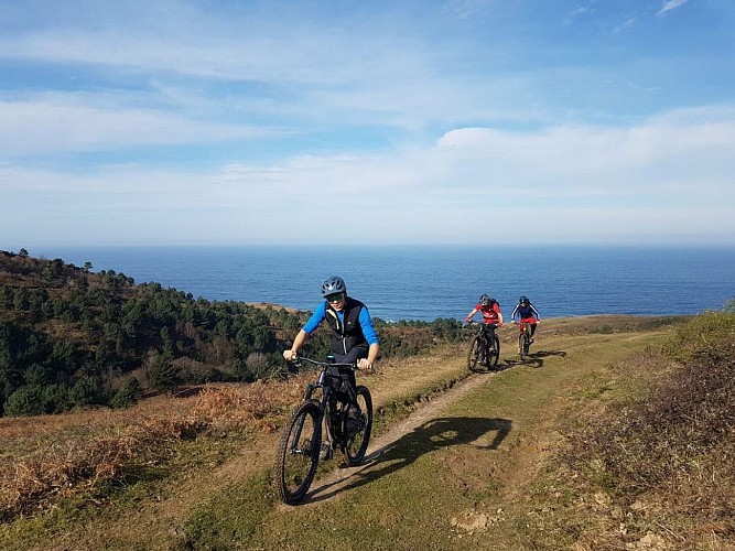 activelo 1