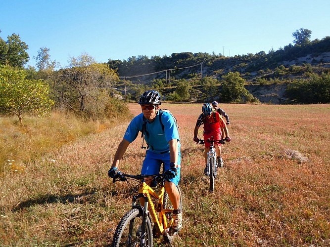 activelo4