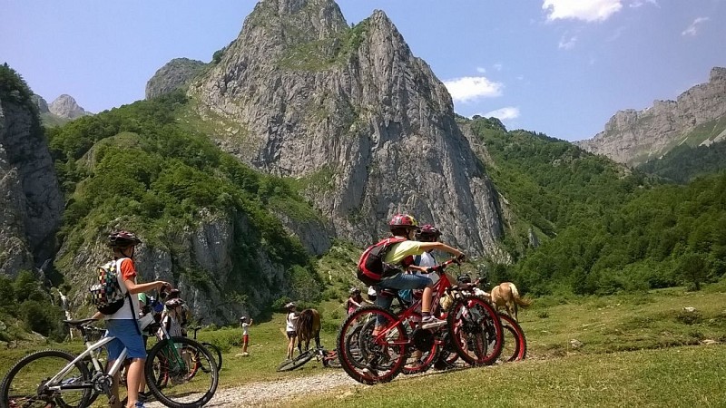 activelo3