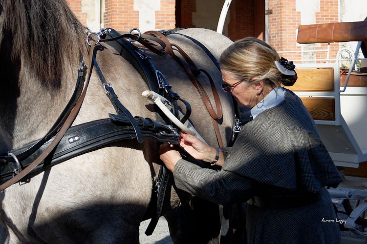 camping of Pont de Saint-Gal