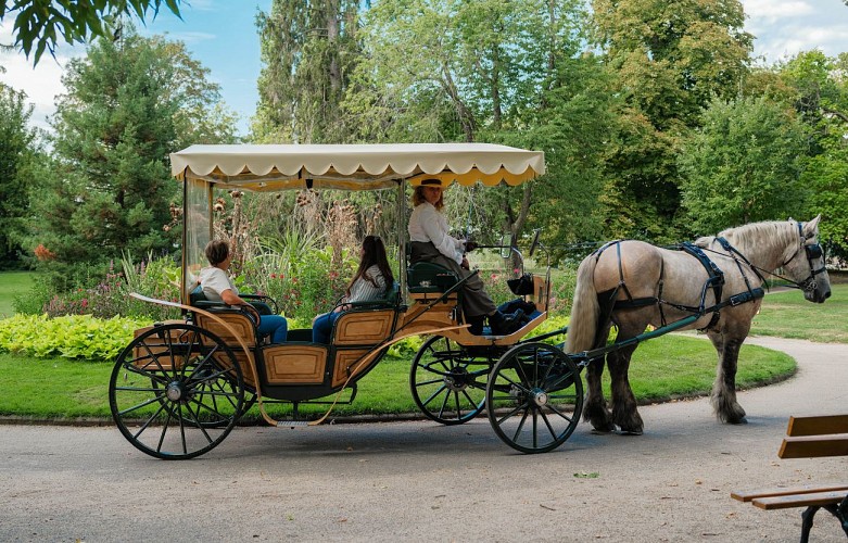 Les calèches Rive d'Allier