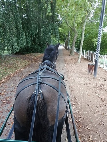 Les calèches Rive d'Allier