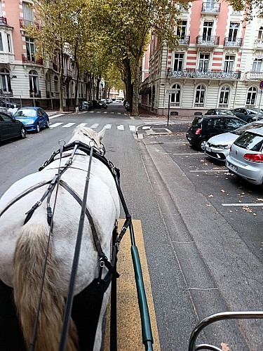 Les calèches Rive d'Allier