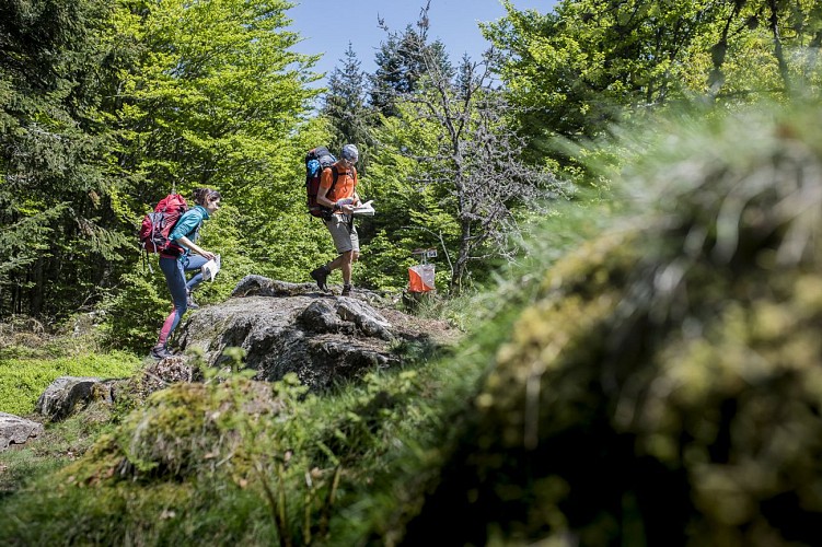 Laprugne Sud parcours rouge : Parcours permanent d'orientation de La Loge des Gardes