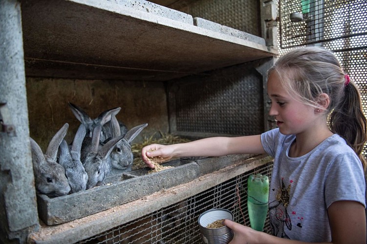 115-gite-arantzeta-bnb1-HLOAQU0640431023-size2048