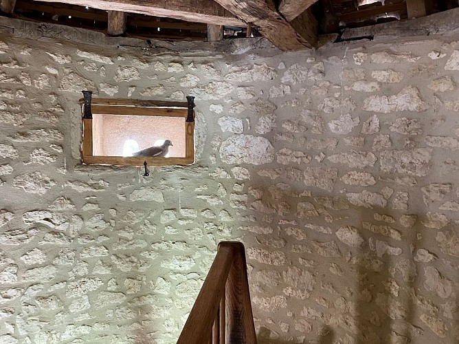 Pigeonnier Esclottes (3)