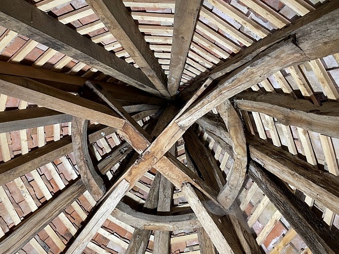 Pigeonnier Esclottes (4)