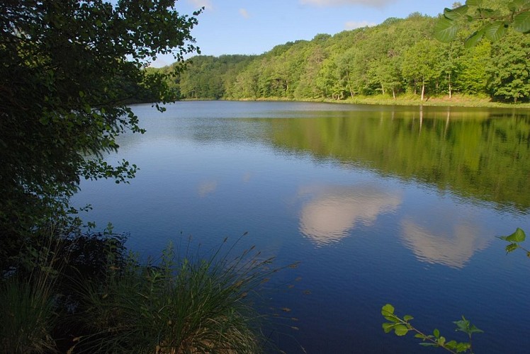 La Coquille Etang de La Barde ©Photoc