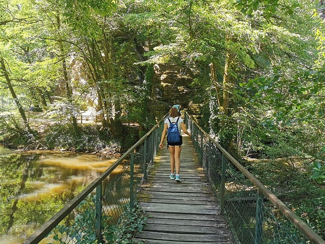 Bord de l'Isle Jumilhac Juillet (5)