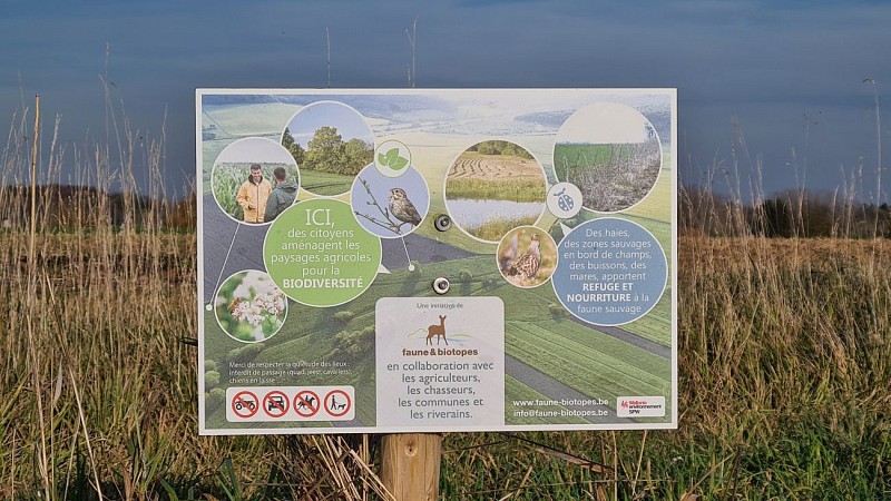 Départ : Eglise Saint-Georges de Noduwez